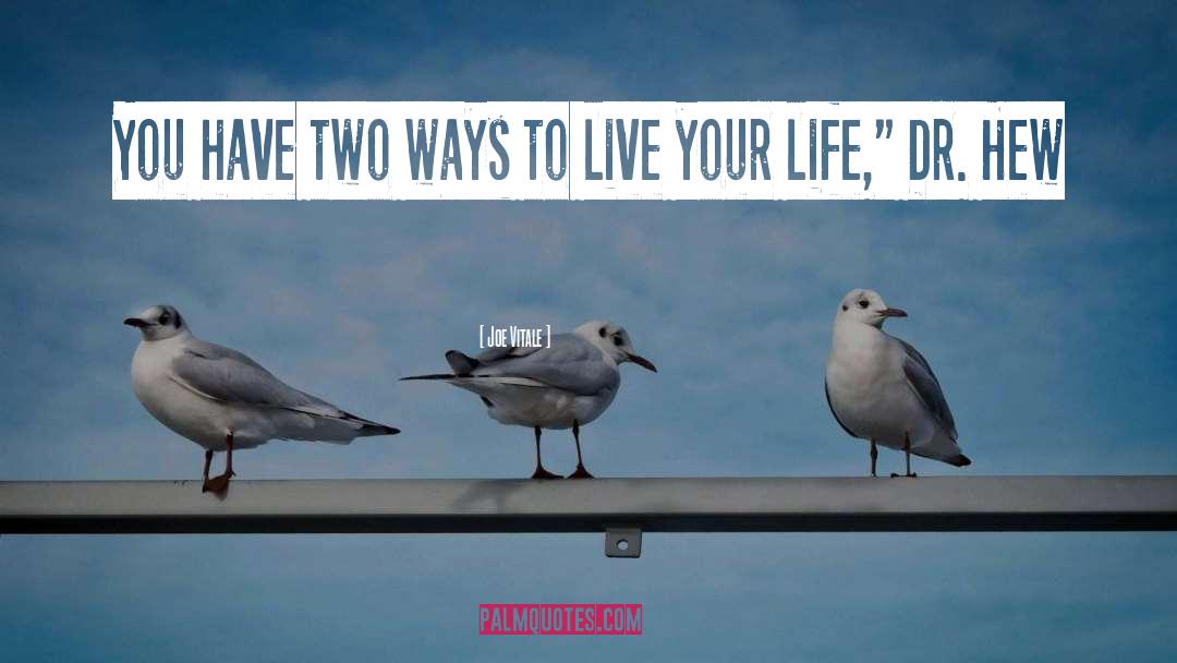 Ways To Live Your Life quotes by Joe Vitale