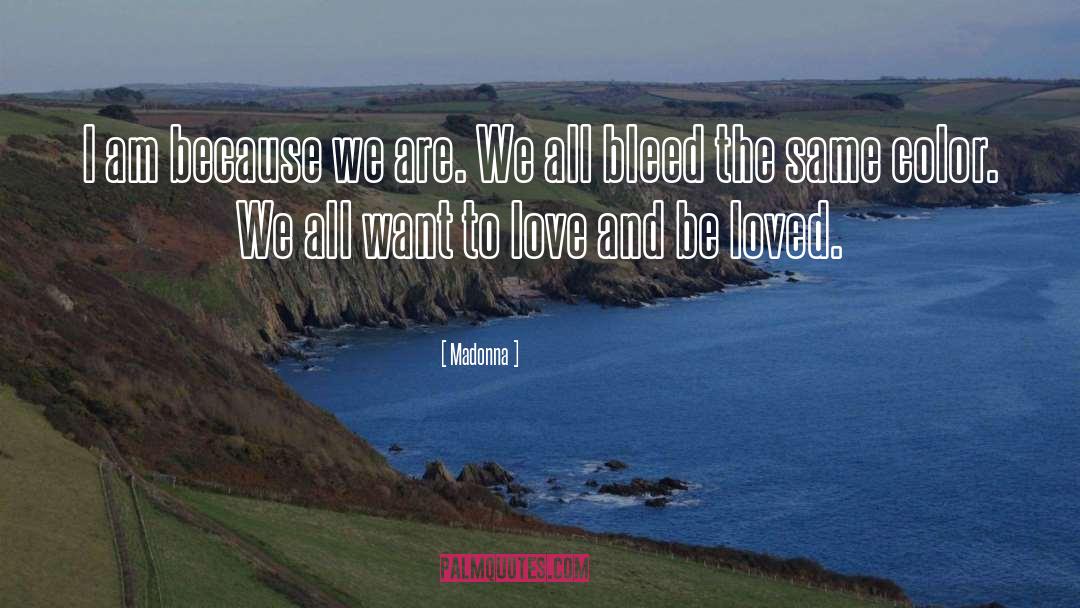 We All Bleed Red quotes by Madonna