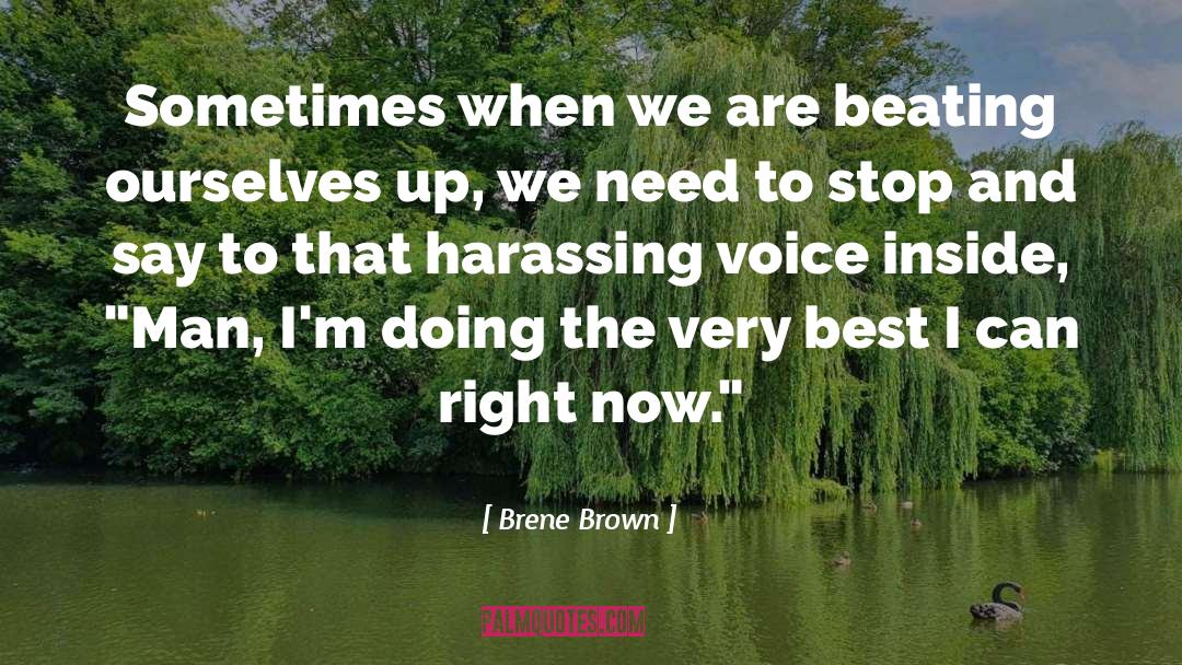 We Are Best Brothers quotes by Brene Brown