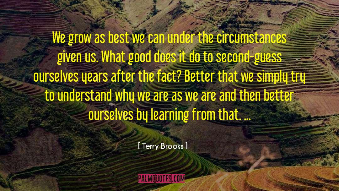 We Are Custodians quotes by Terry Brooks