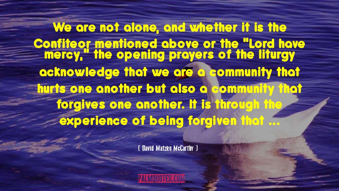 We Are Not Alone quotes by David Matzko McCarthy
