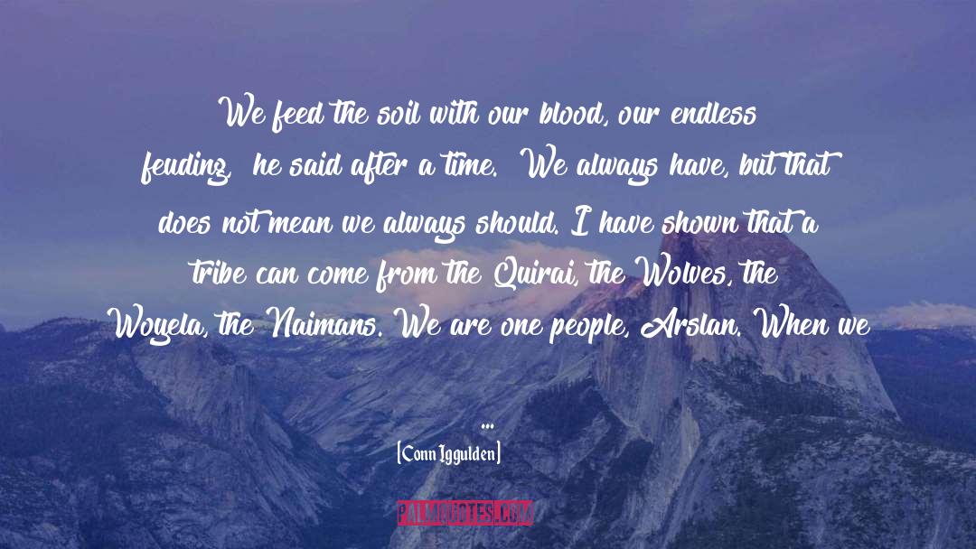 We Are One quotes by Conn Iggulden