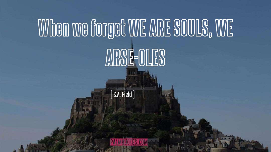 We Are Souls quotes by S.A. Field