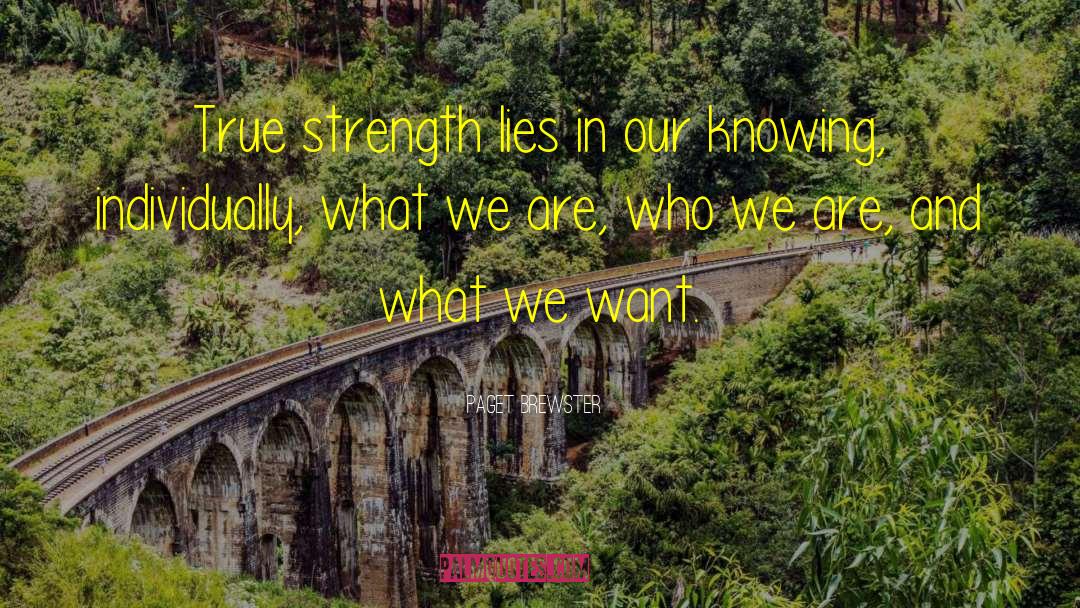 We Are Who We Are quotes by Paget Brewster