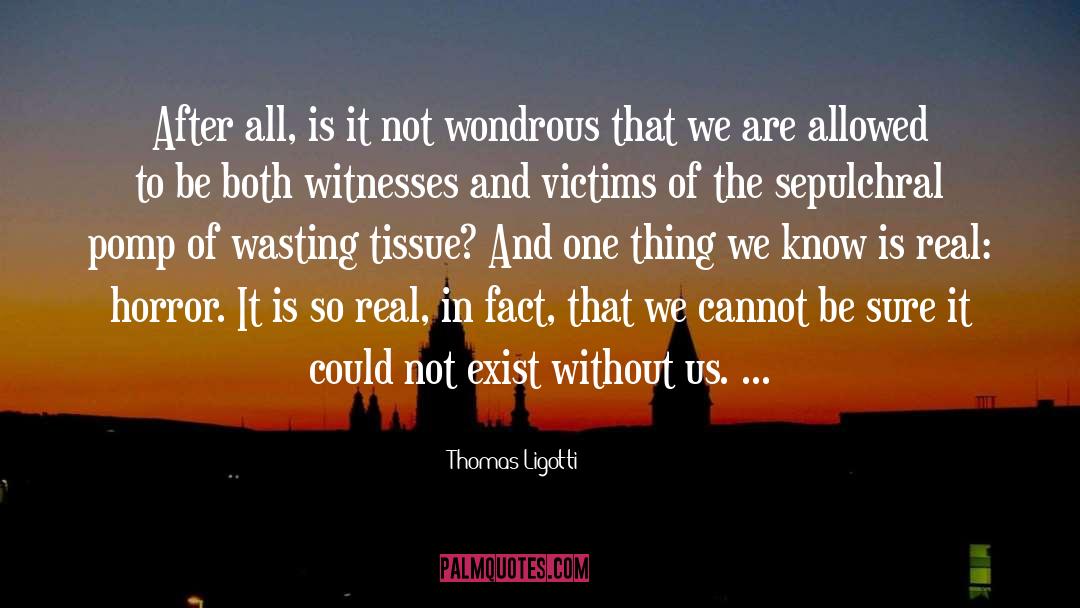 We Are Witnesses quotes by Thomas Ligotti