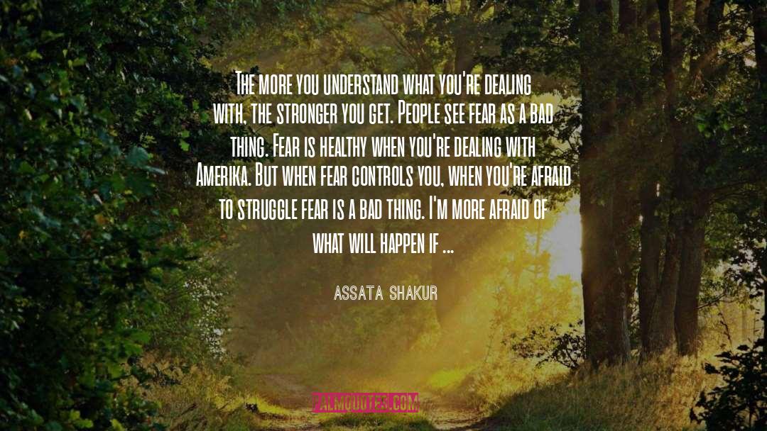 We Get Stronger quotes by Assata Shakur
