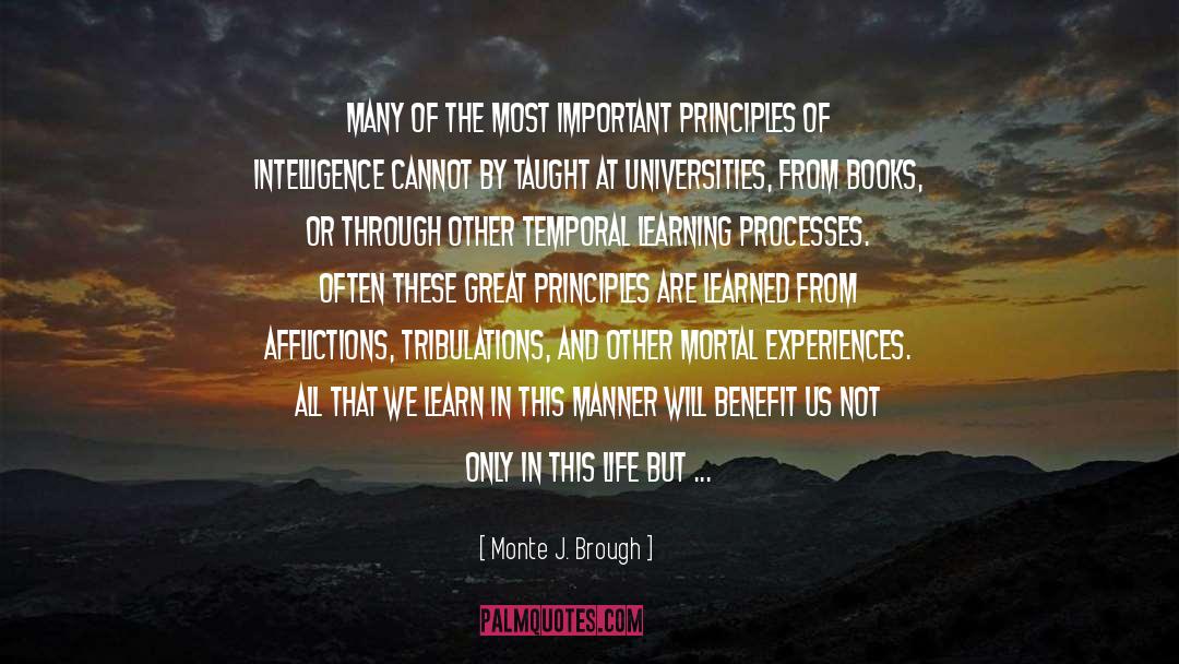 We Learn From Pain quotes by Monte J. Brough