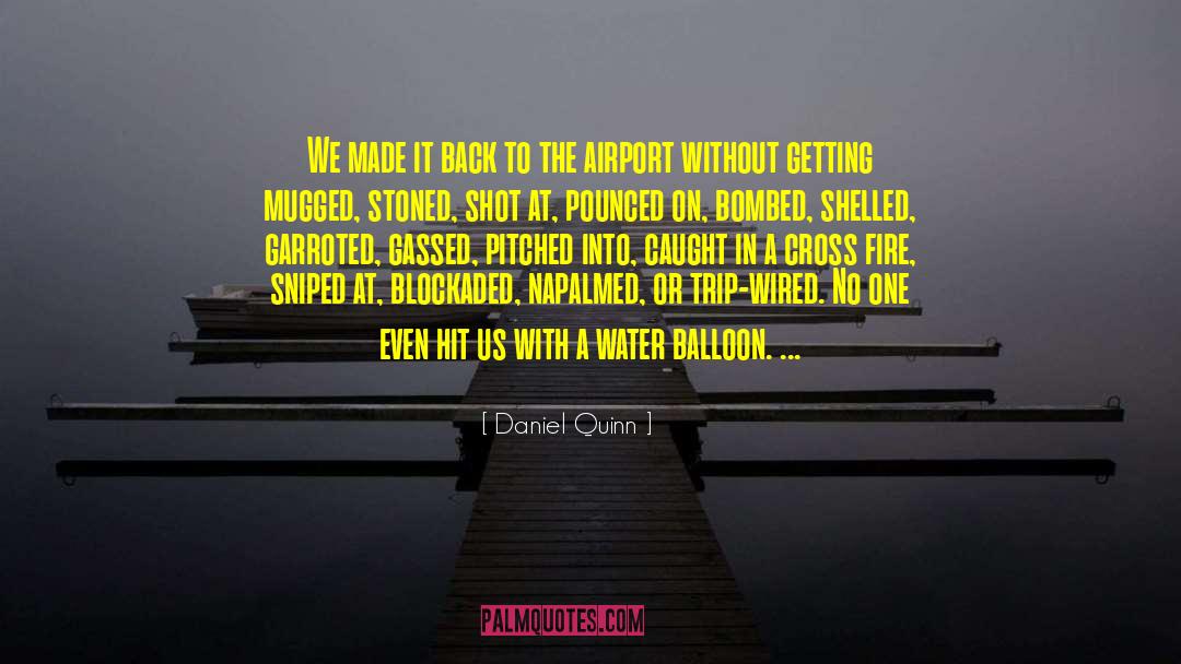 We Made It quotes by Daniel Quinn