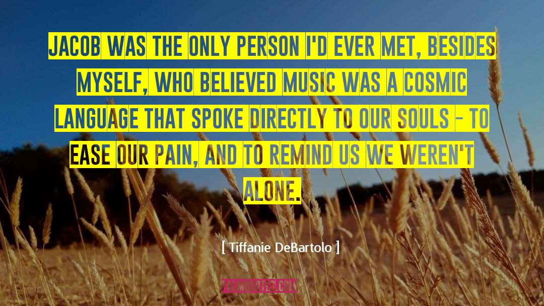 We Met A Stranger quotes by Tiffanie DeBartolo