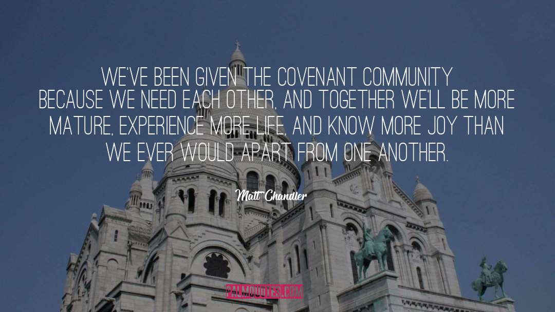 We Need Each Other quotes by Matt Chandler