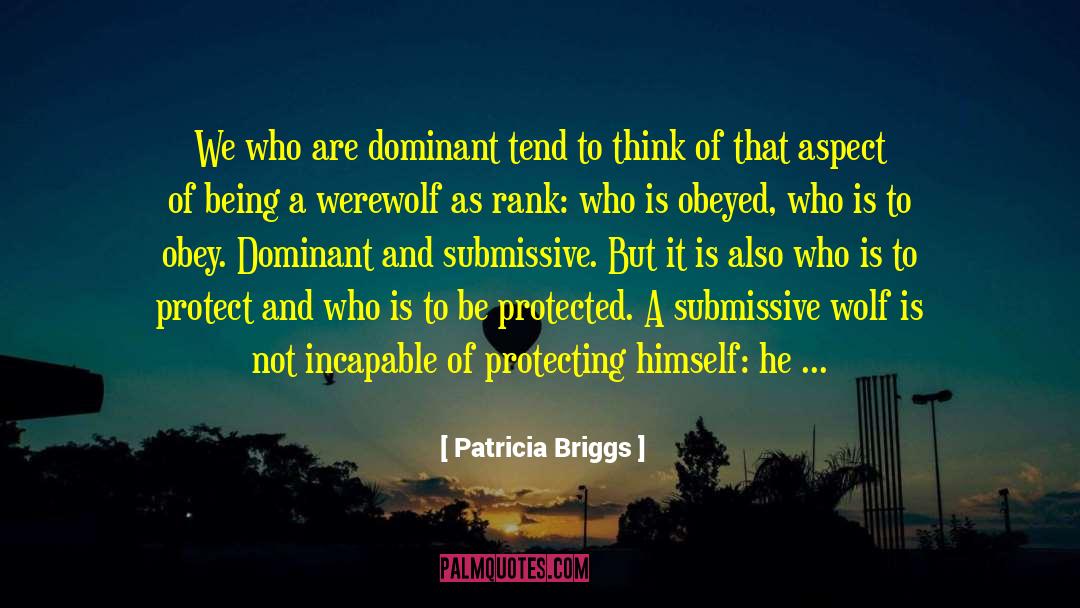 We Need More Understanding quotes by Patricia Briggs