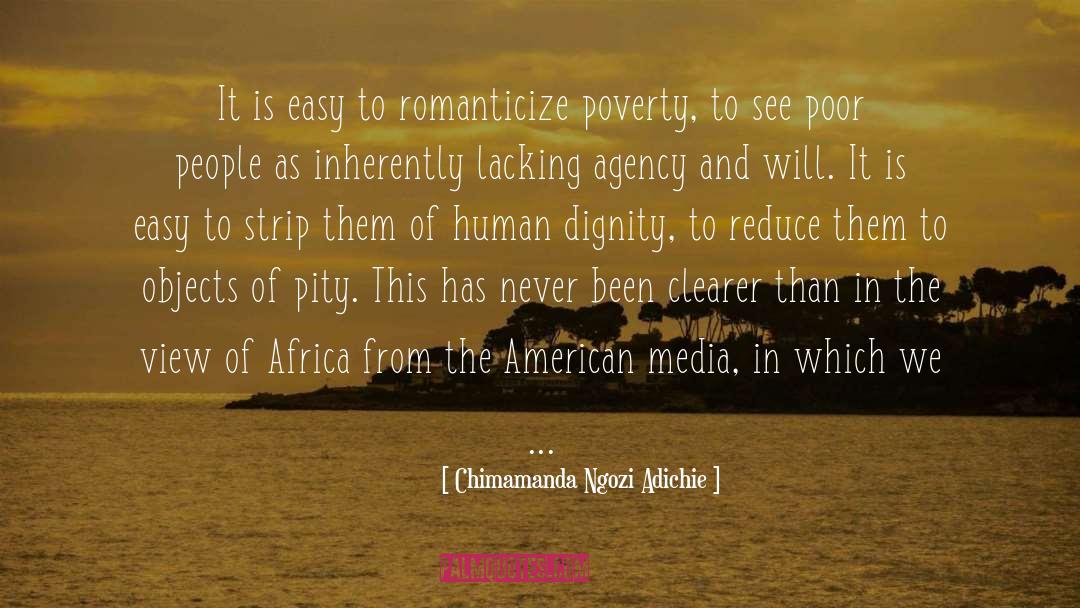 We Never Learn quotes by Chimamanda Ngozi Adichie