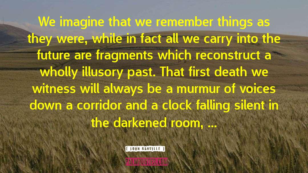 We Remember Moments quotes by John Banville