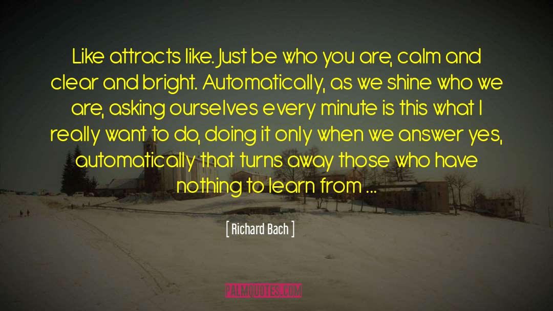 We Shine quotes by Richard Bach