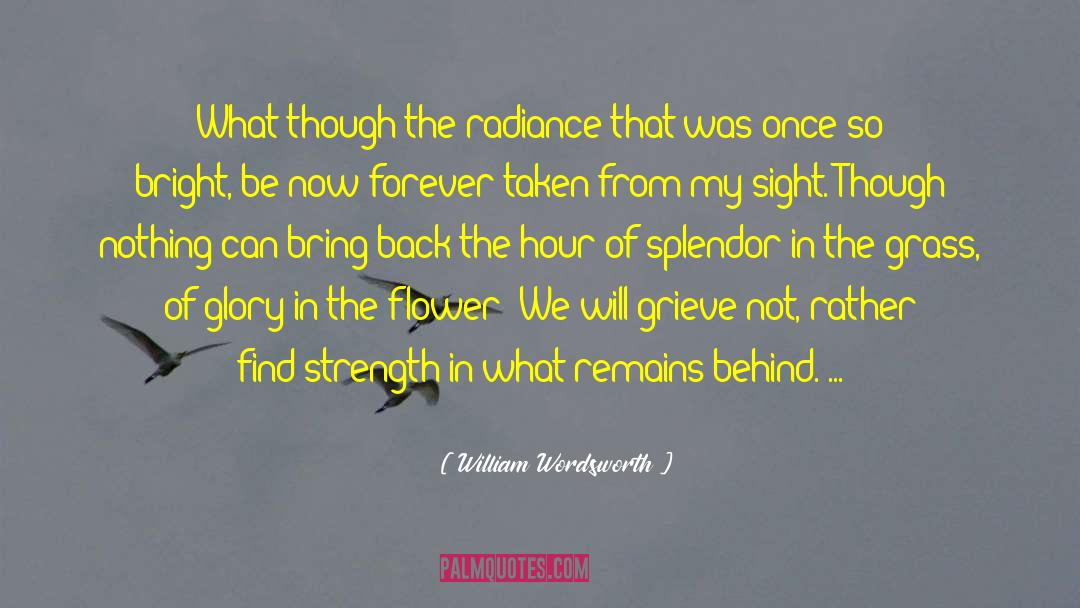 We Will Be Back Together quotes by William Wordsworth