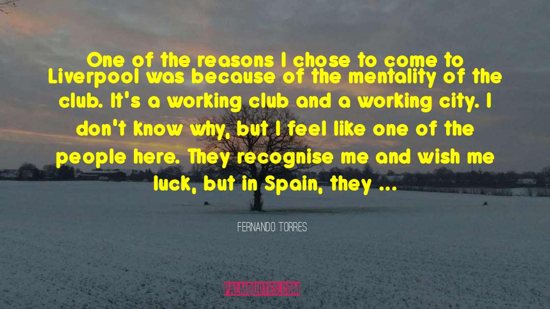 We Wish You Luck quotes by Fernando Torres