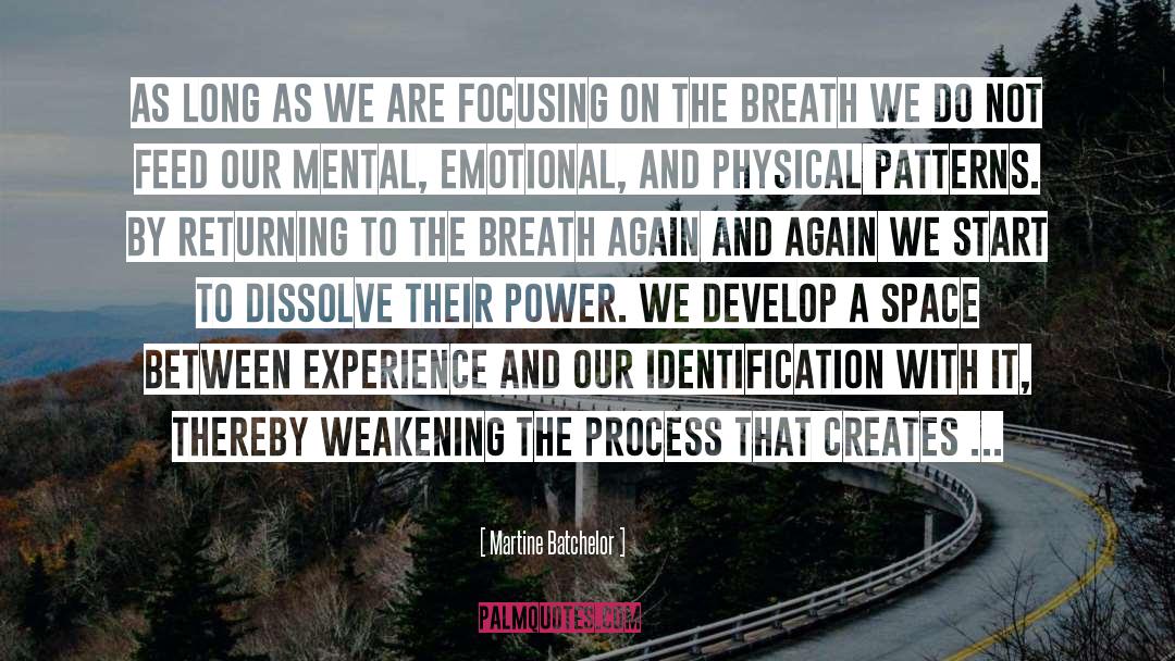 Weakening quotes by Martine Batchelor