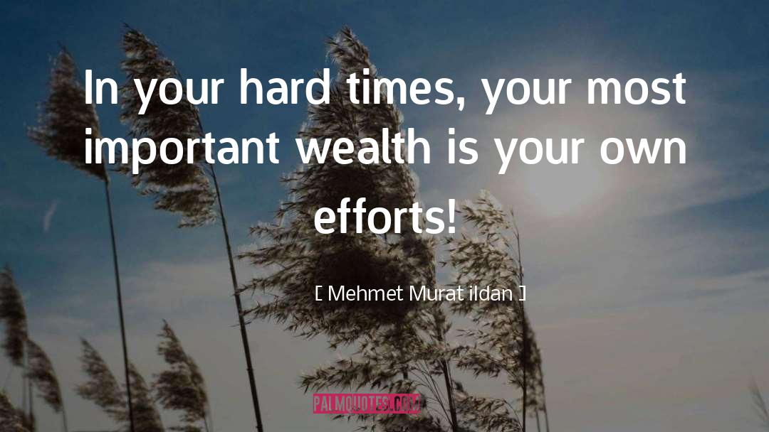 Wealth Accumulation quotes by Mehmet Murat Ildan