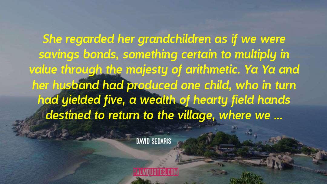 Wealth And Extravagance quotes by David Sedaris