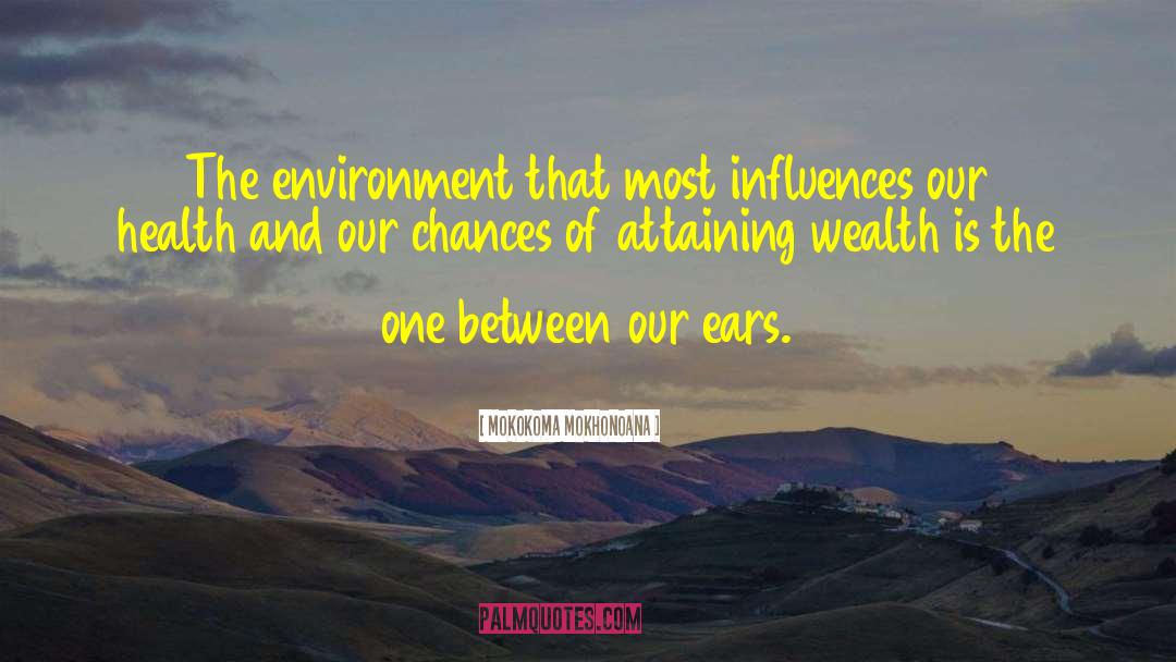 Wealth And Influence quotes by Mokokoma Mokhonoana