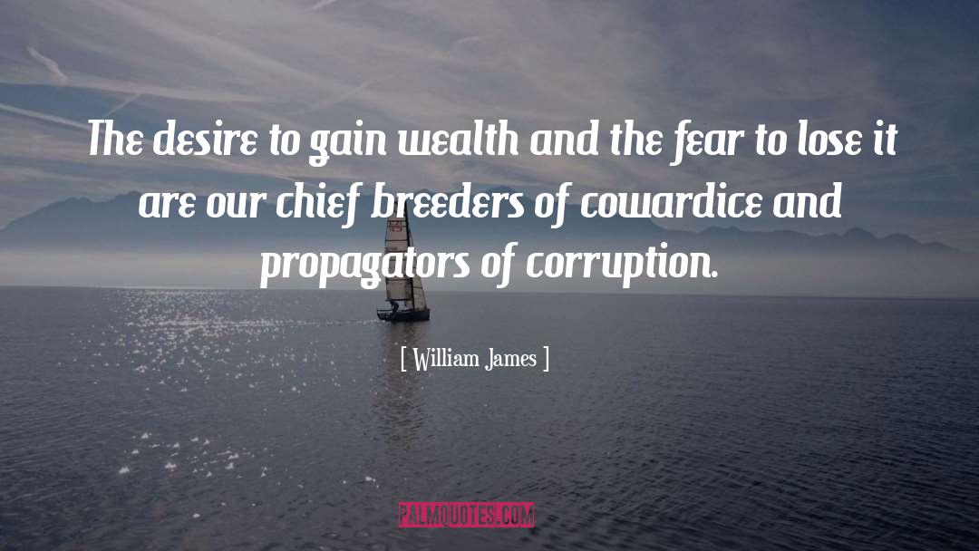 Wealth Corruption quotes by William James