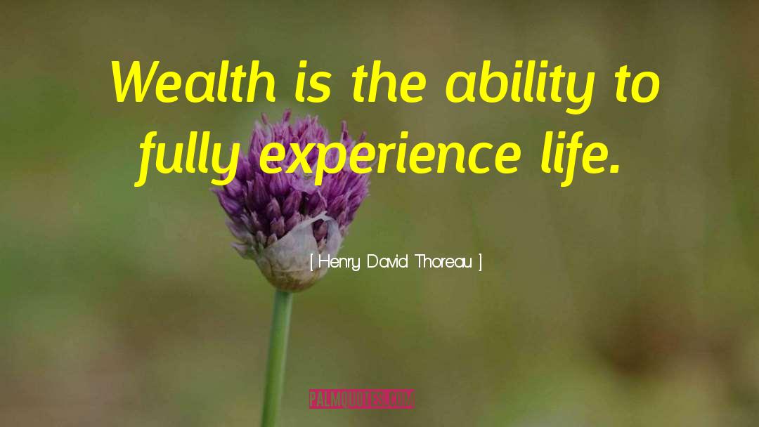 Wealth Creation quotes by Henry David Thoreau