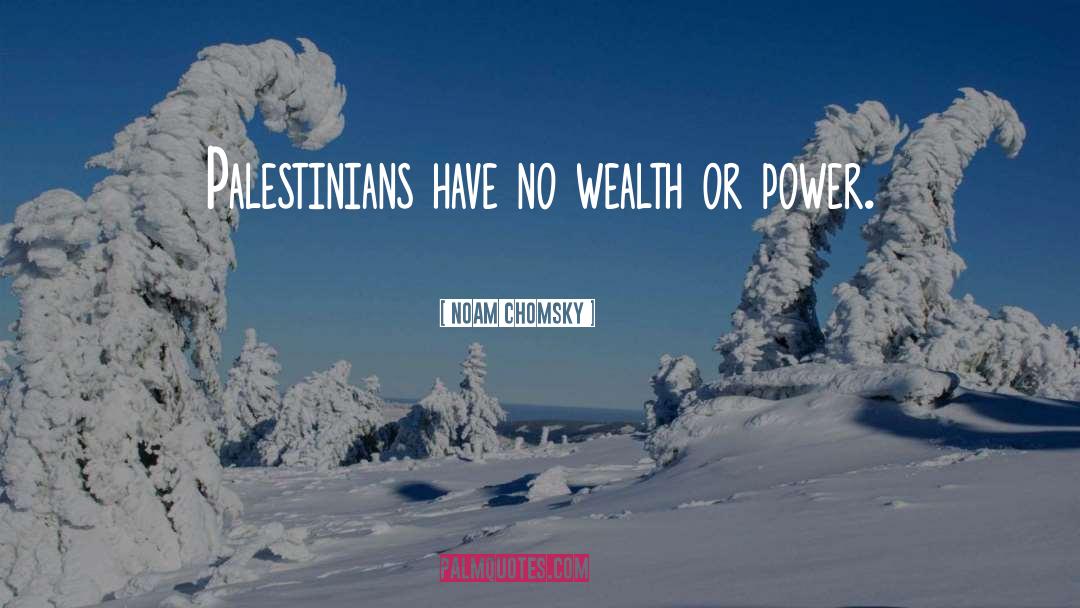 Wealth Dynamics quotes by Noam Chomsky