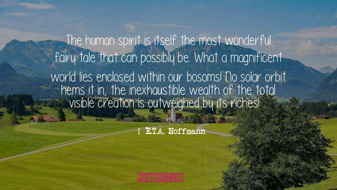 Wealth Inequality quotes by E.T.A. Hoffmann