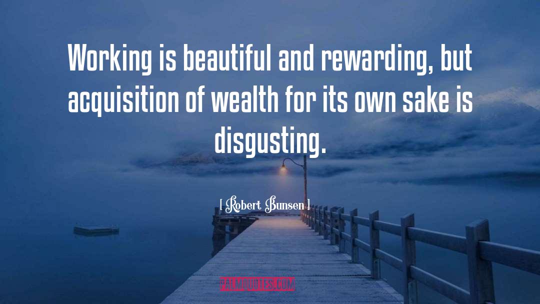 Wealth quotes by Robert Bunsen