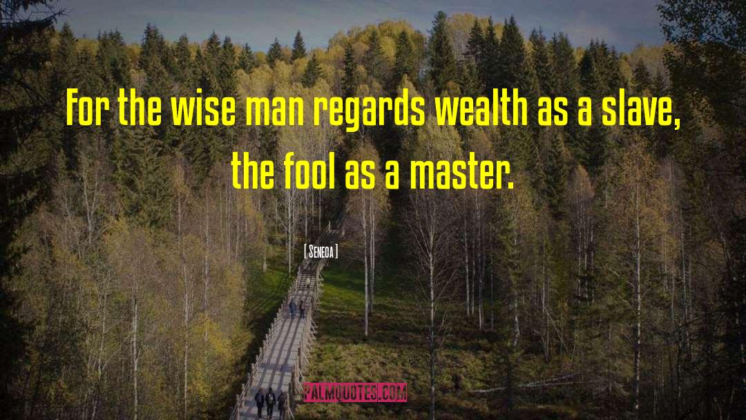 Wealth Spectrum Test quotes by Seneca