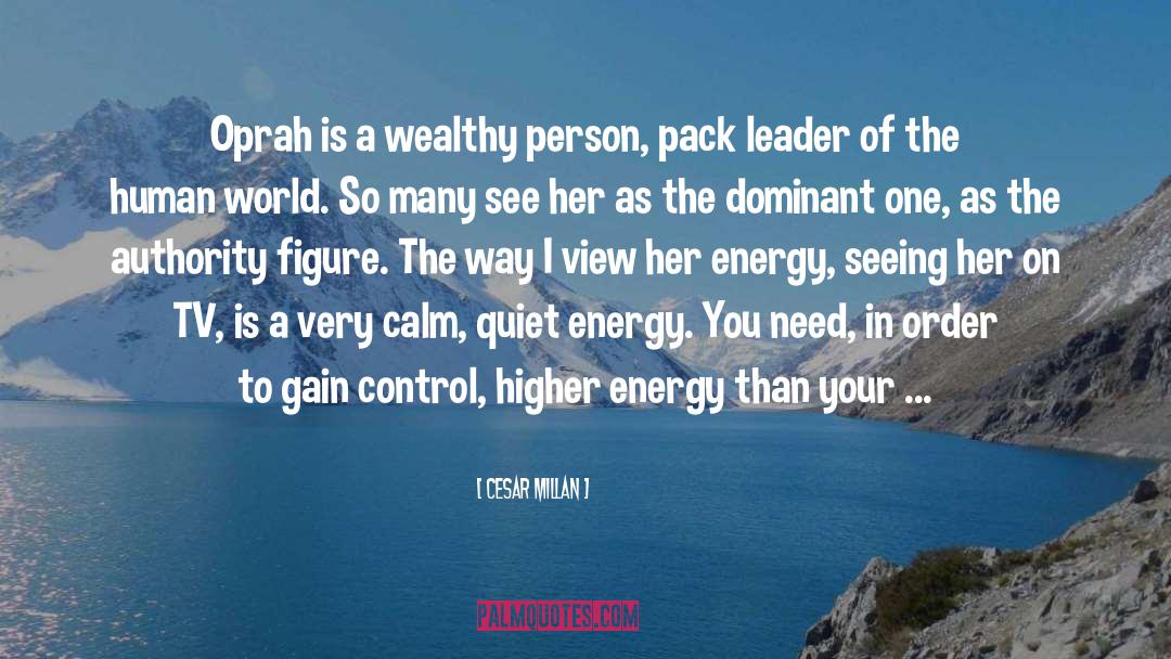 Wealthy Person quotes by Cesar Millan