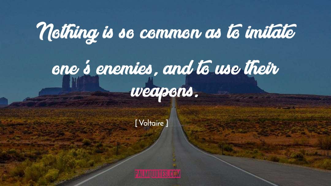 Weapons quotes by Voltaire