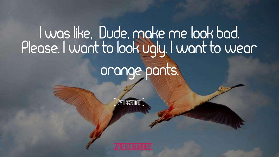 Wearables Pants quotes by Evanescence