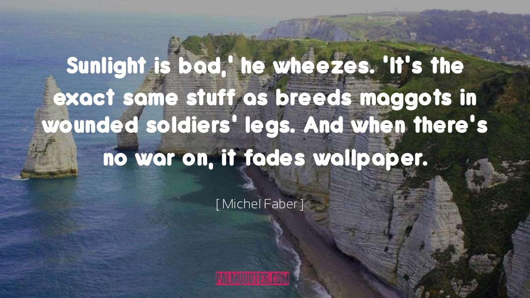 Wearstler Wallpaper quotes by Michel Faber