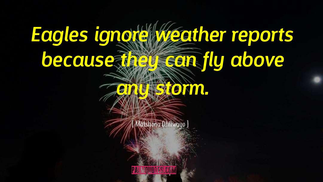 Weather Reports quotes by Matshona Dhliwayo