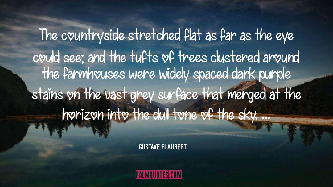 Weathered Grey quotes by Gustave Flaubert