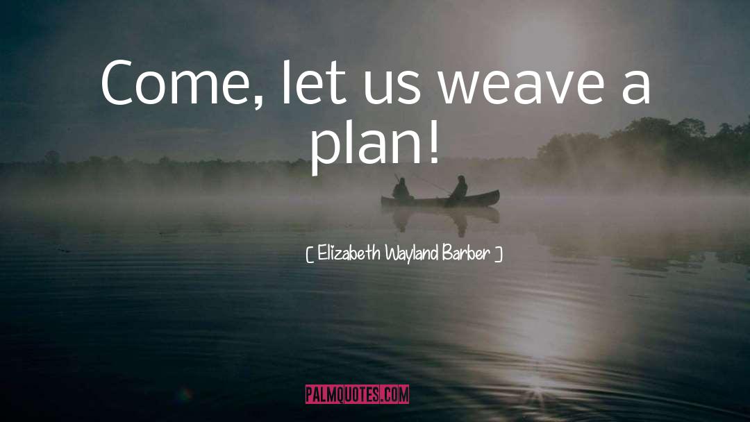 Weave quotes by Elizabeth Wayland Barber