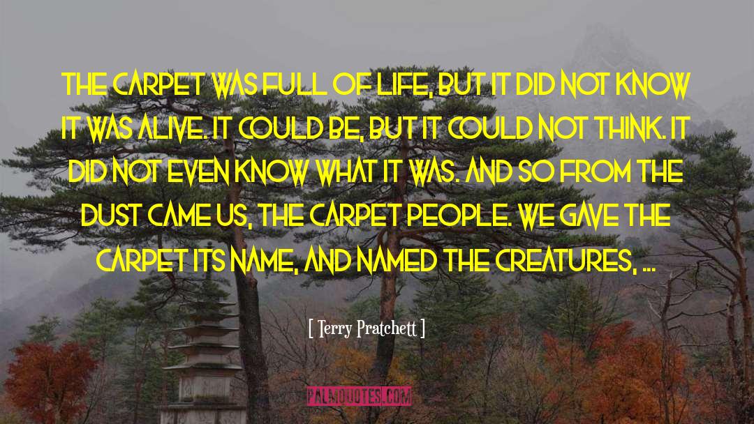 Weaving Threads quotes by Terry Pratchett