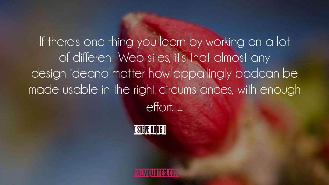 Web Design quotes by Steve Krug