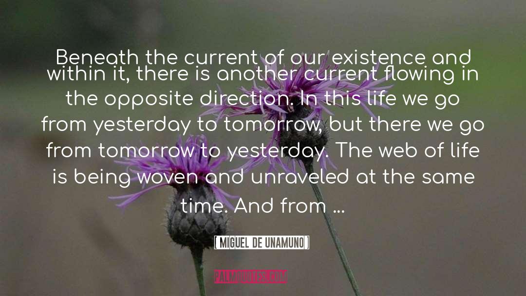 Web Of Life quotes by Miguel De Unamuno