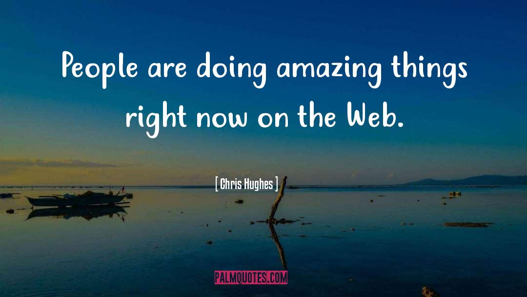 Web quotes by Chris Hughes