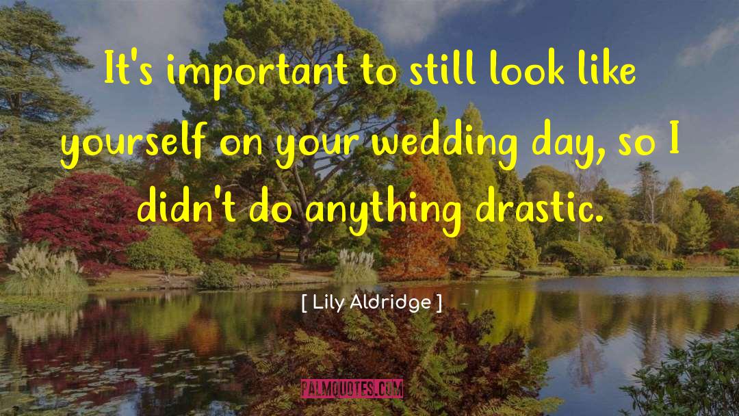 Wedding Day quotes by Lily Aldridge