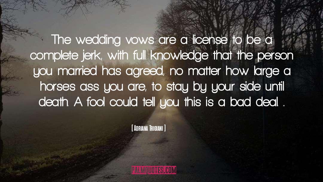 Wedding Vows quotes by Adriana Trigiani