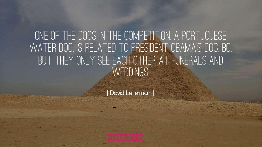 Weddings quotes by David Letterman
