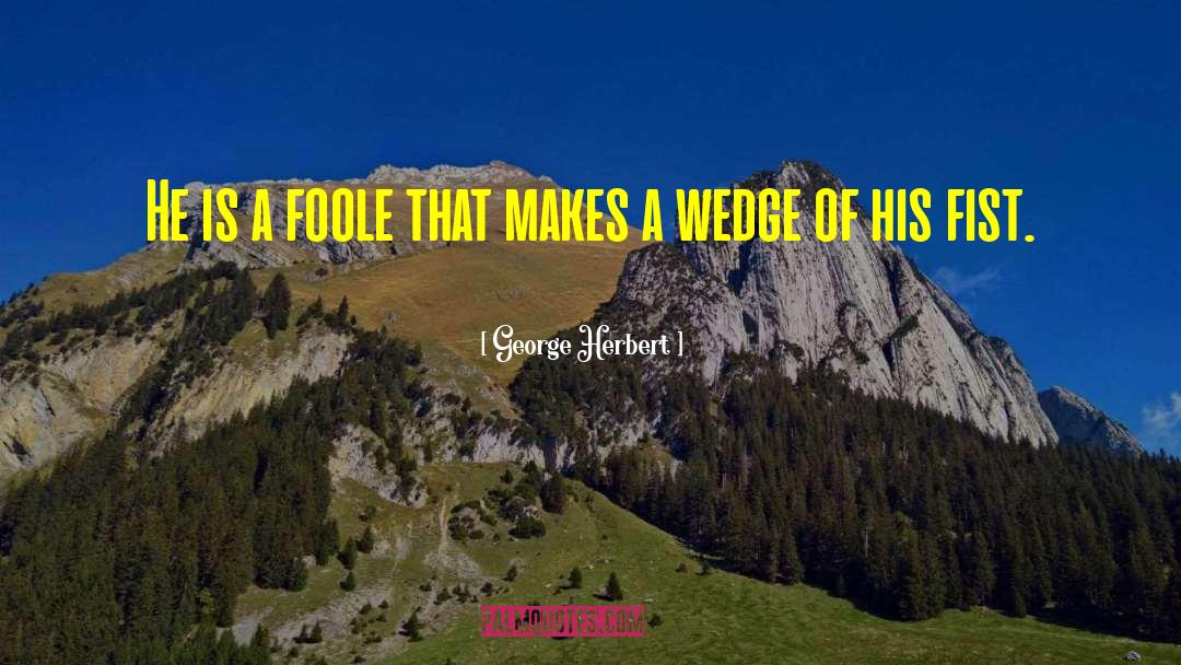 Wedge quotes by George Herbert