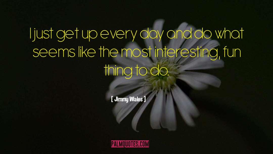 Wednesday Fun Day quotes by Jimmy Wales