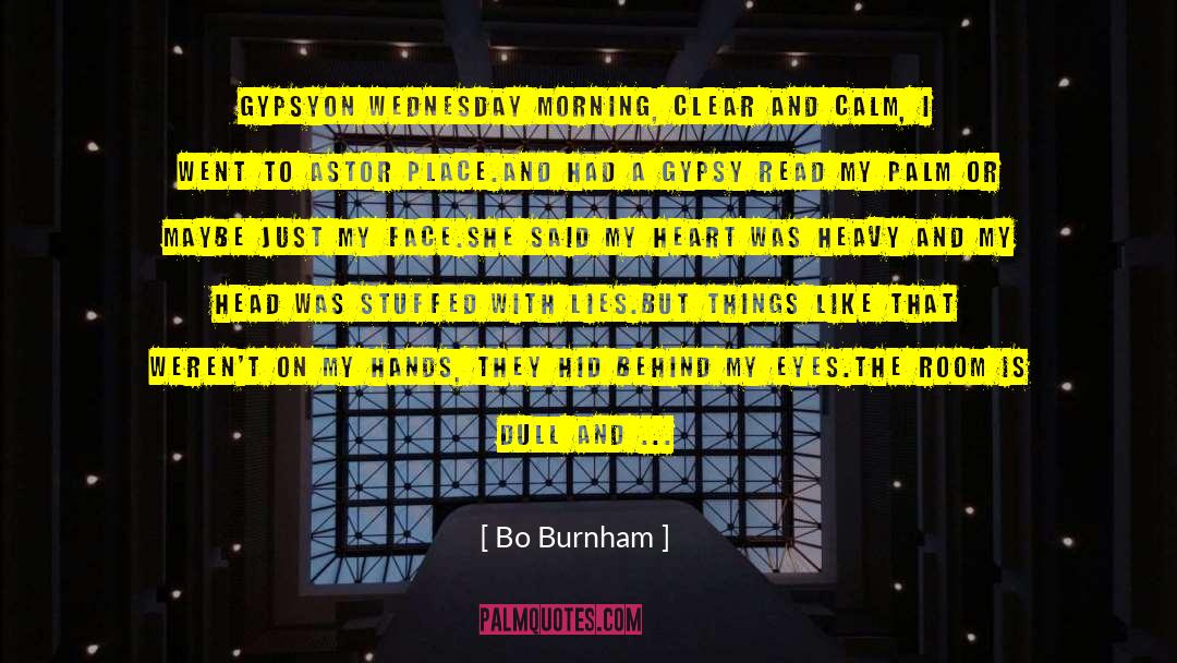 Wednesday Morning quotes by Bo Burnham
