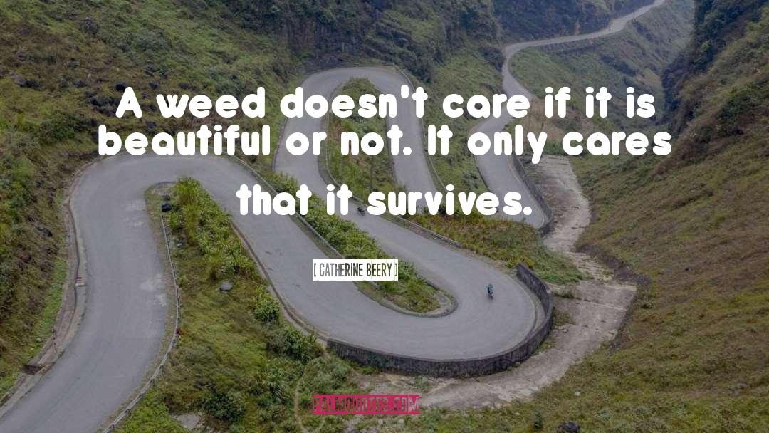 Weed quotes by Catherine Beery