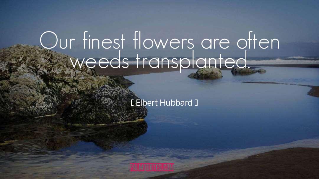 Weed quotes by Elbert Hubbard