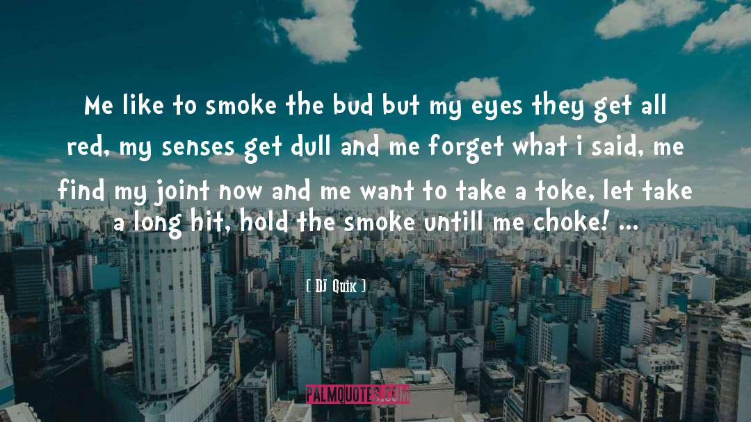 Weed quotes by DJ Quik